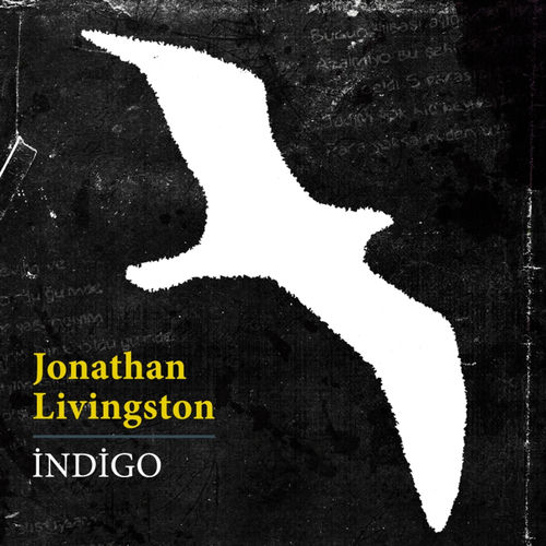 Satılık Buzdolabı by Indigo - 95 BPM