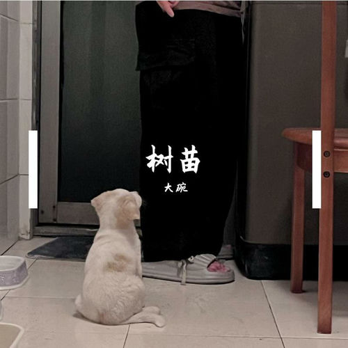 树苗