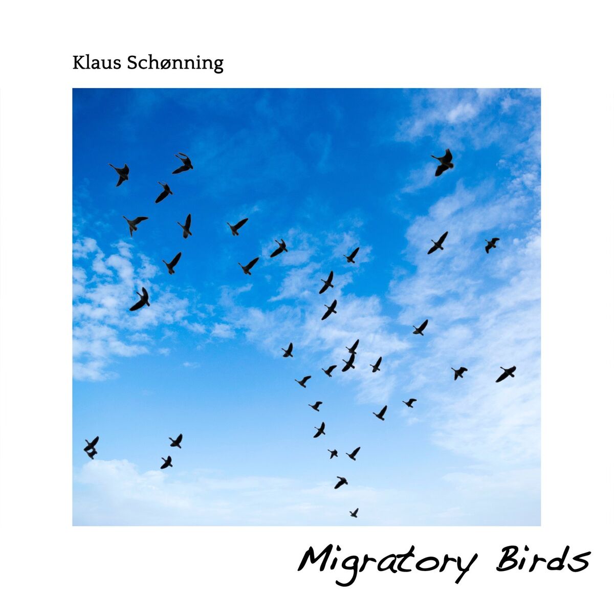 Album cover of Migratory Birds