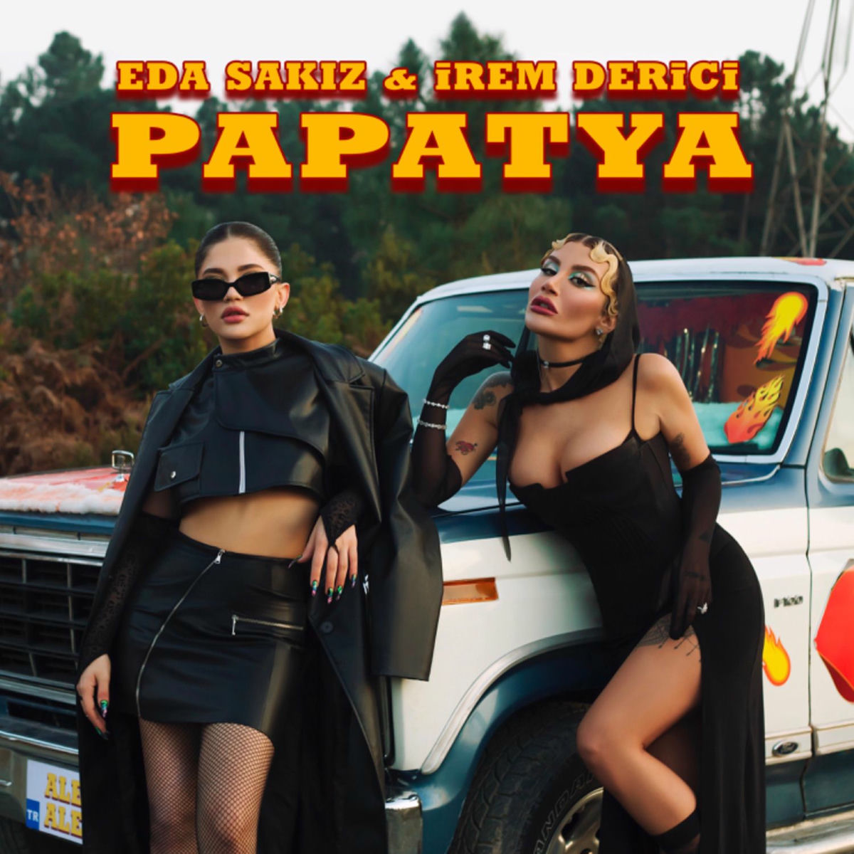 Album cover of Papatya