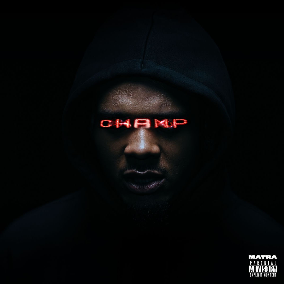 Album cover of CHAMP
