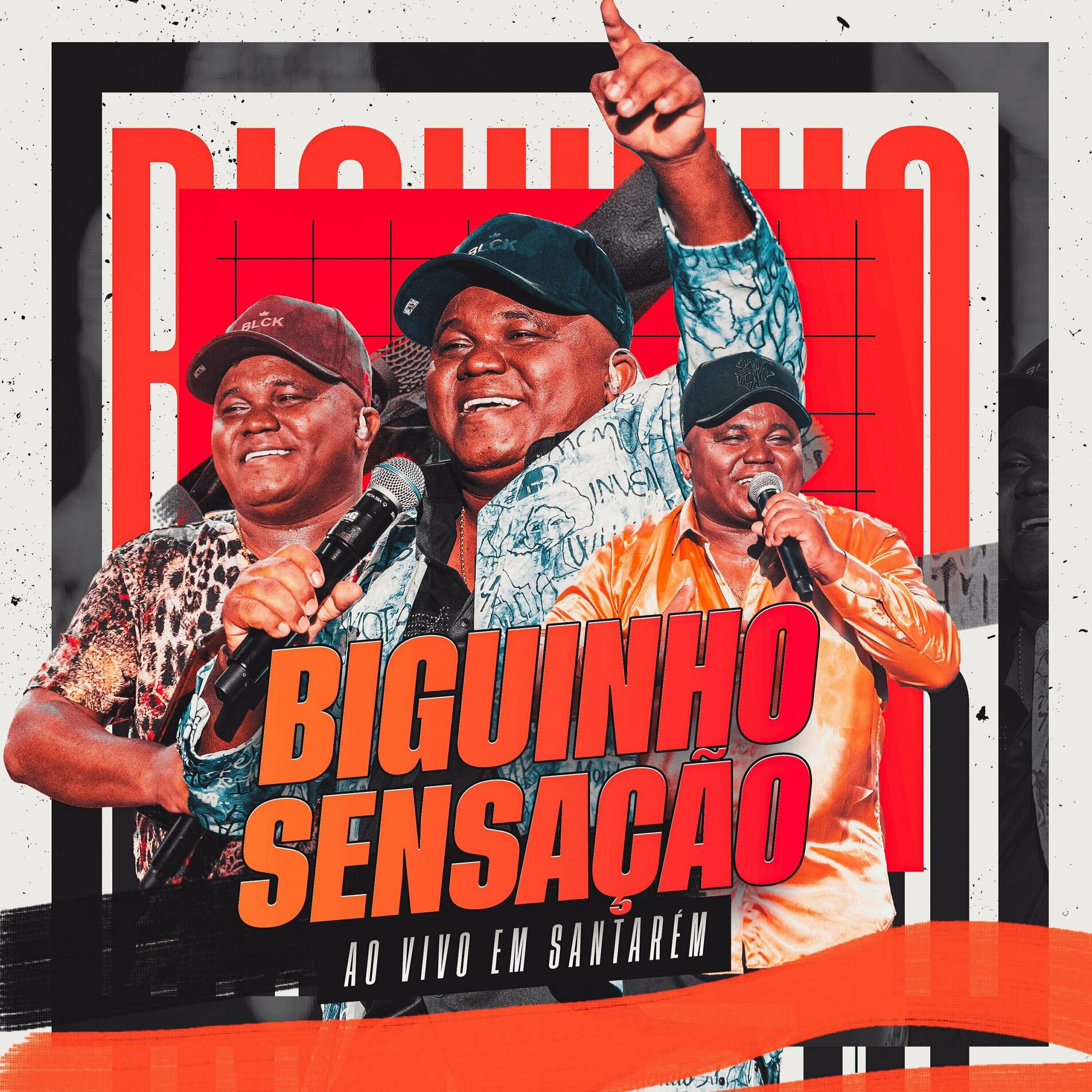 Album cover of Ao Vivo Em Santarém (Ao Vivo)