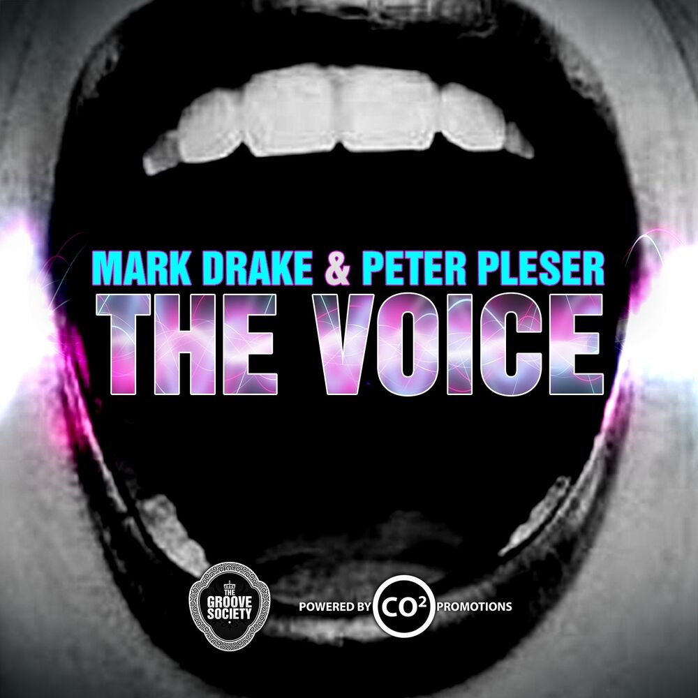 Picture of The Voice