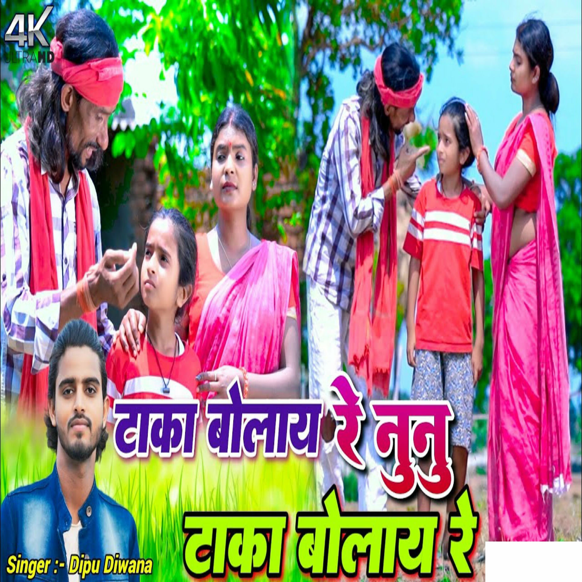 Album cover of Taka Bolay Re Nunu