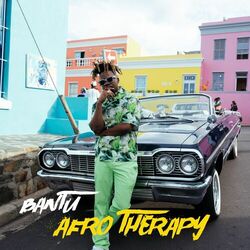 Cover of Afro Therapy