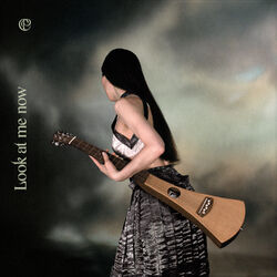 Cover of Look At Me Now