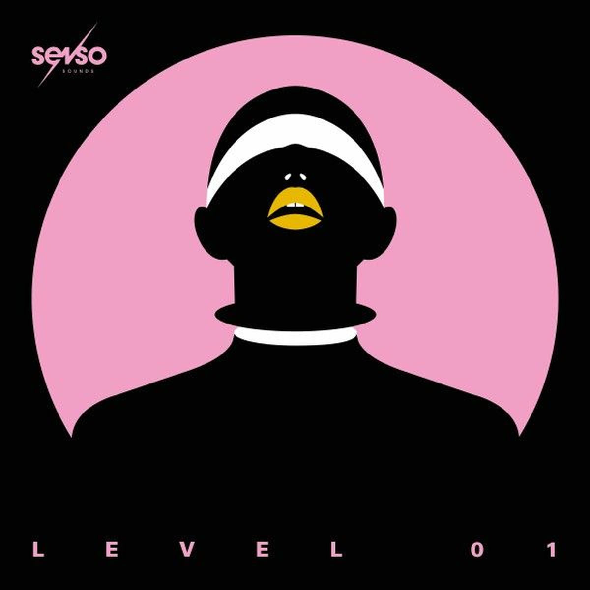 Album cover of Senso Sounds Level 01