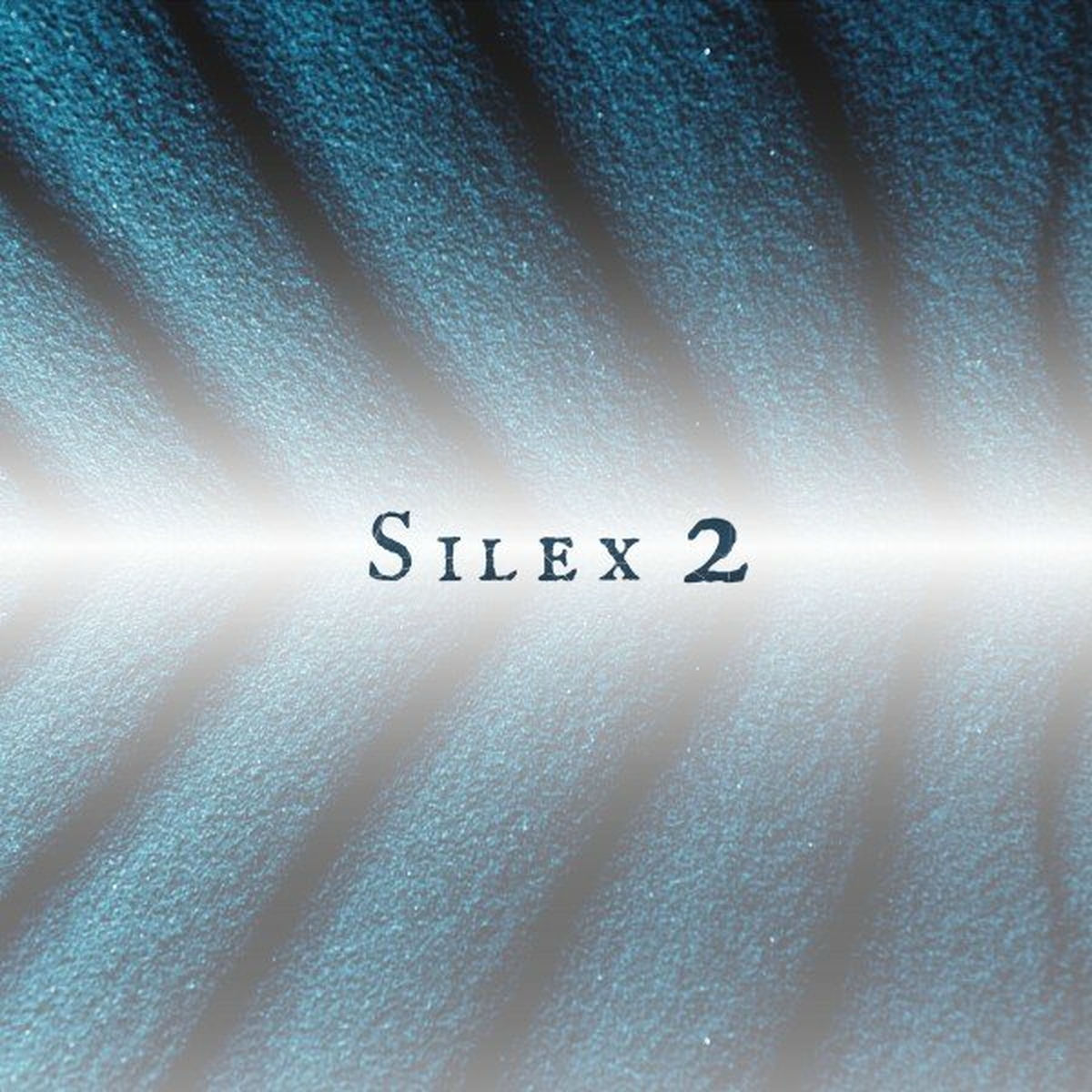 Album cover of Silex 2