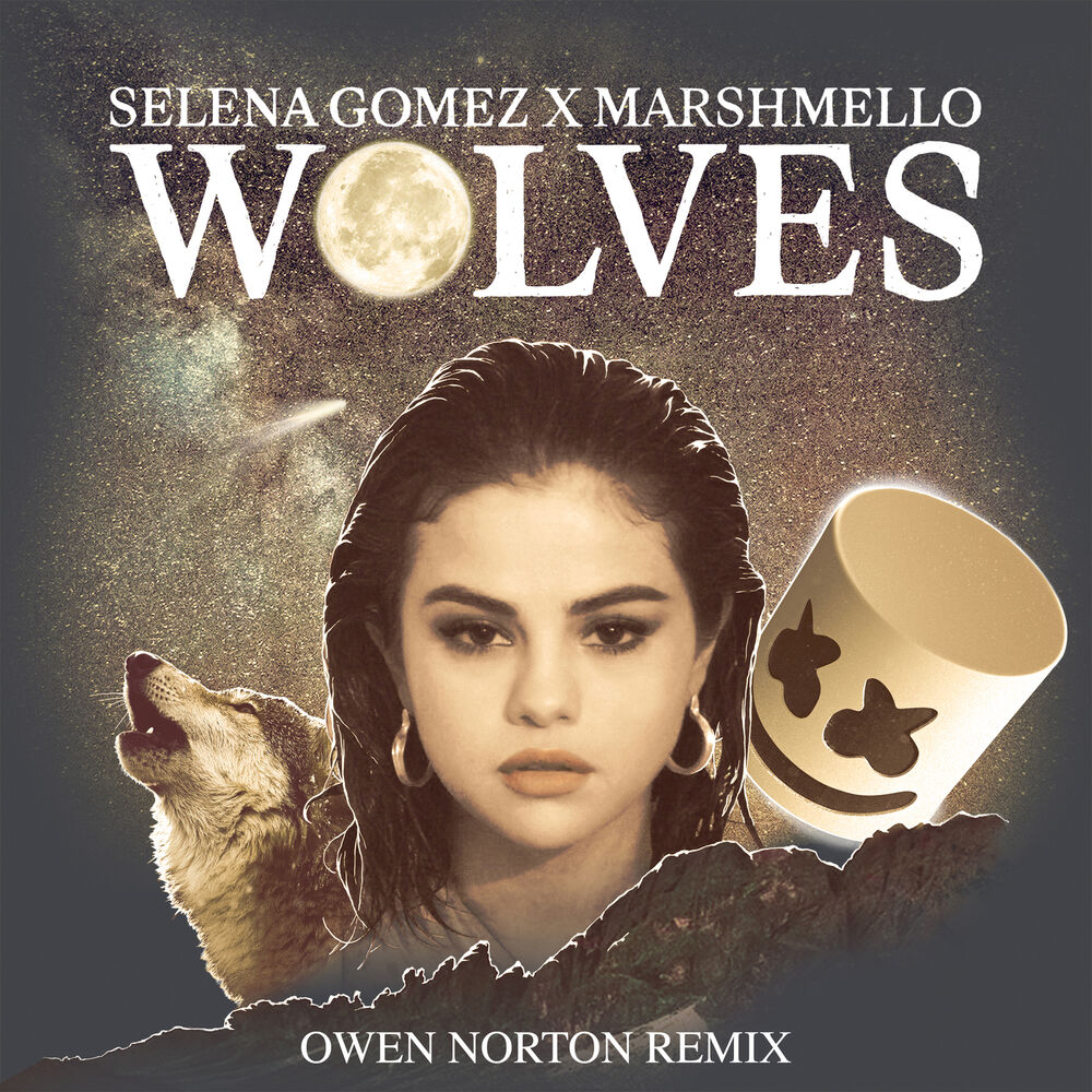 Picture of Wolves (Owen Norton Remix)