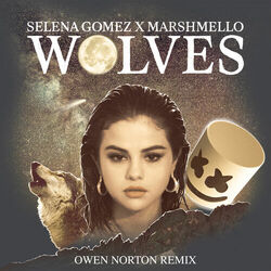 Cover of Wolves (Owen Norton Remix)