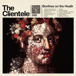 Cover of Bonfires on the Heath