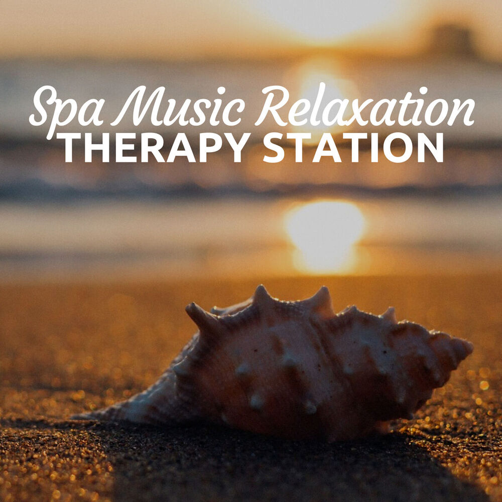 Picture of Spa Music Relaxation Therapy Station - 30 Wellness Songs