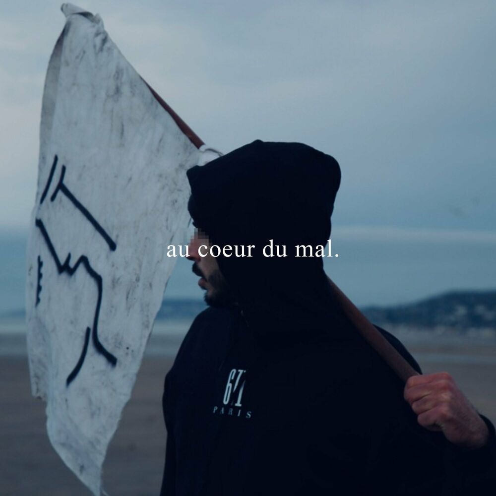 Picture of au coeur du mal.