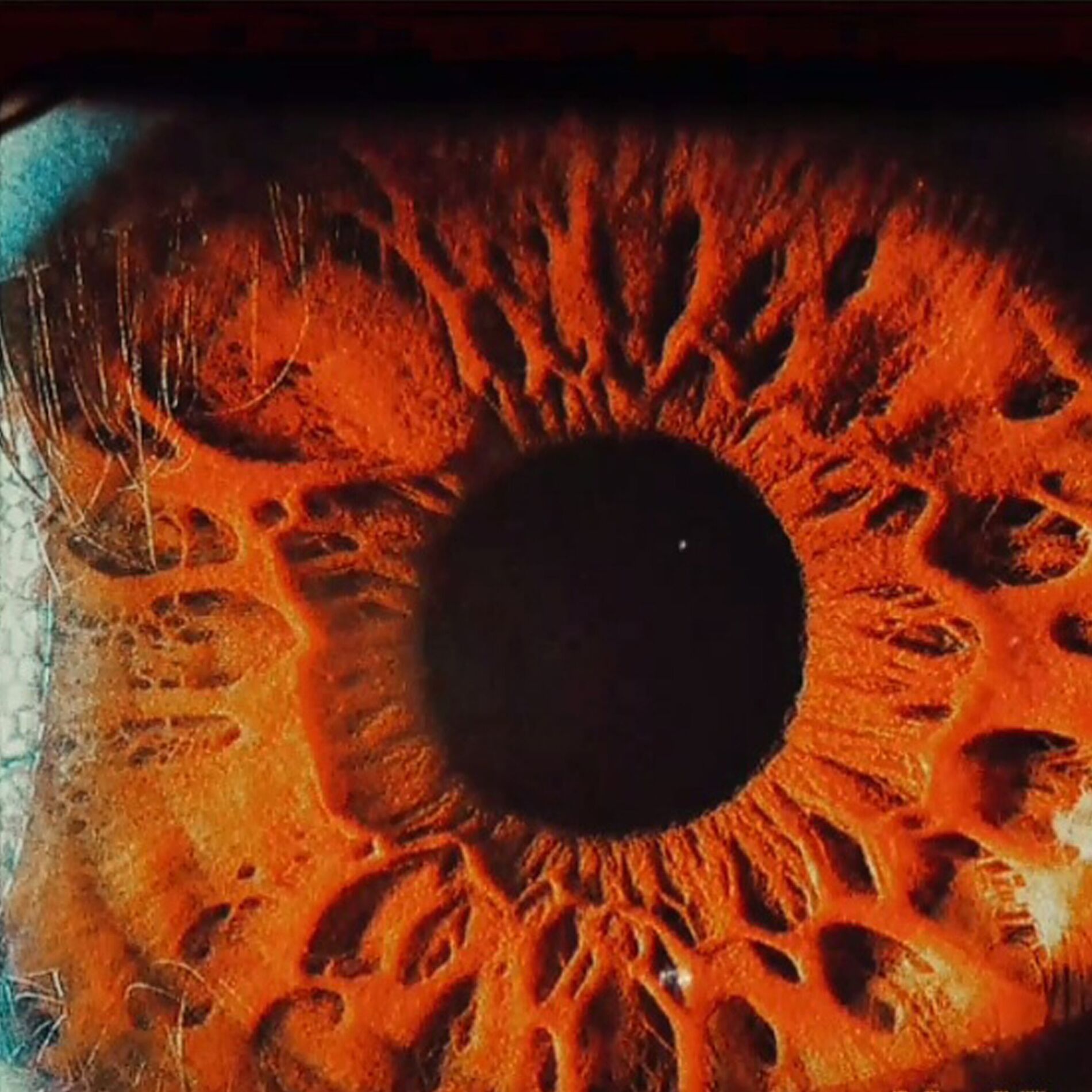 Album cover of Ojos Marrones
