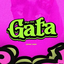Cover of Mega Funk Gata