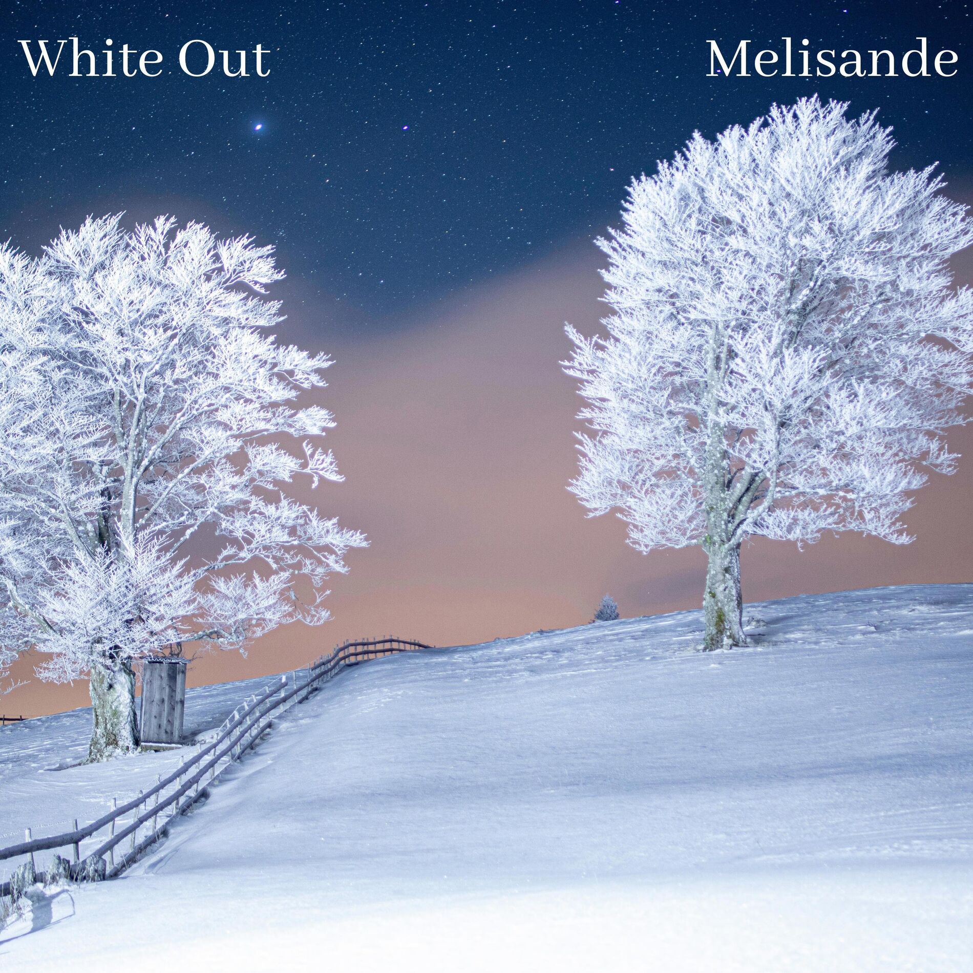 Album cover of White Out