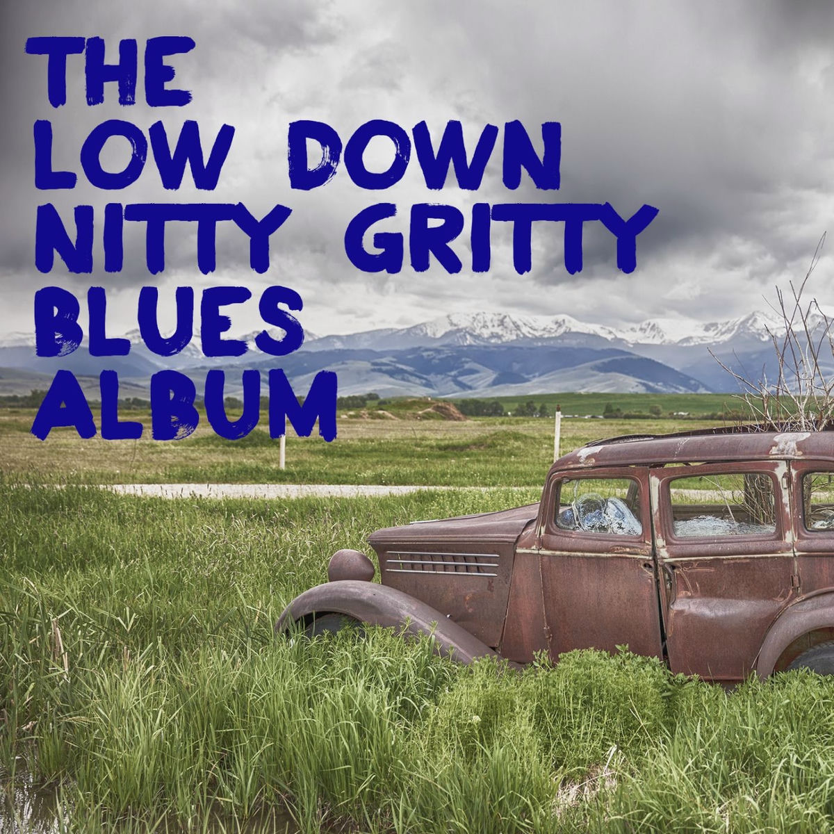 Album cover of The Low Down Nitty Gritty Blues Album