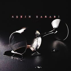 music cover