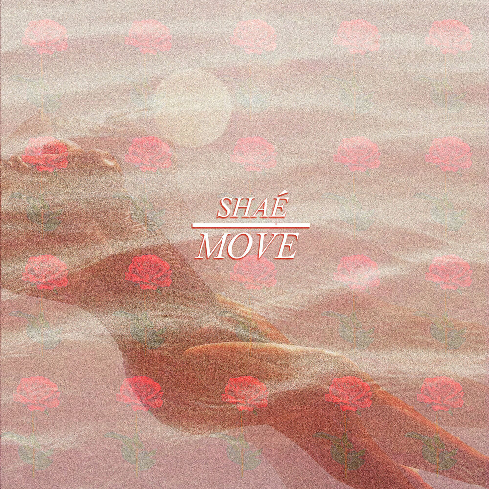 Picture of Move