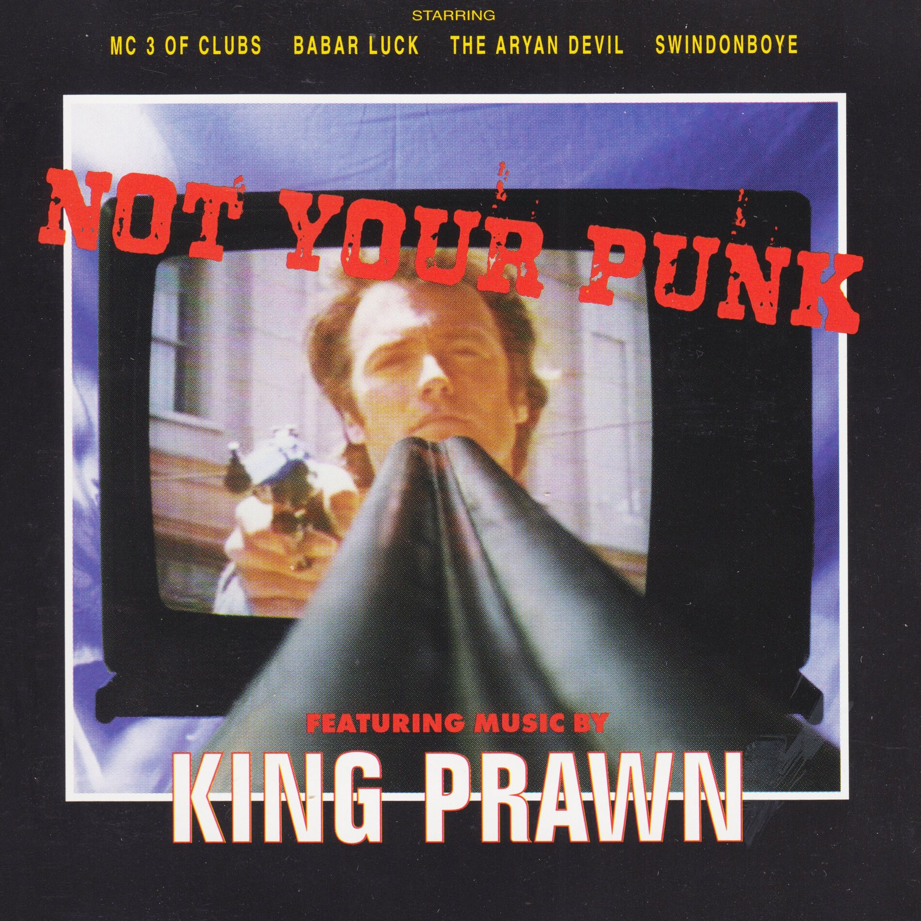 Album cover of Not Your Punk