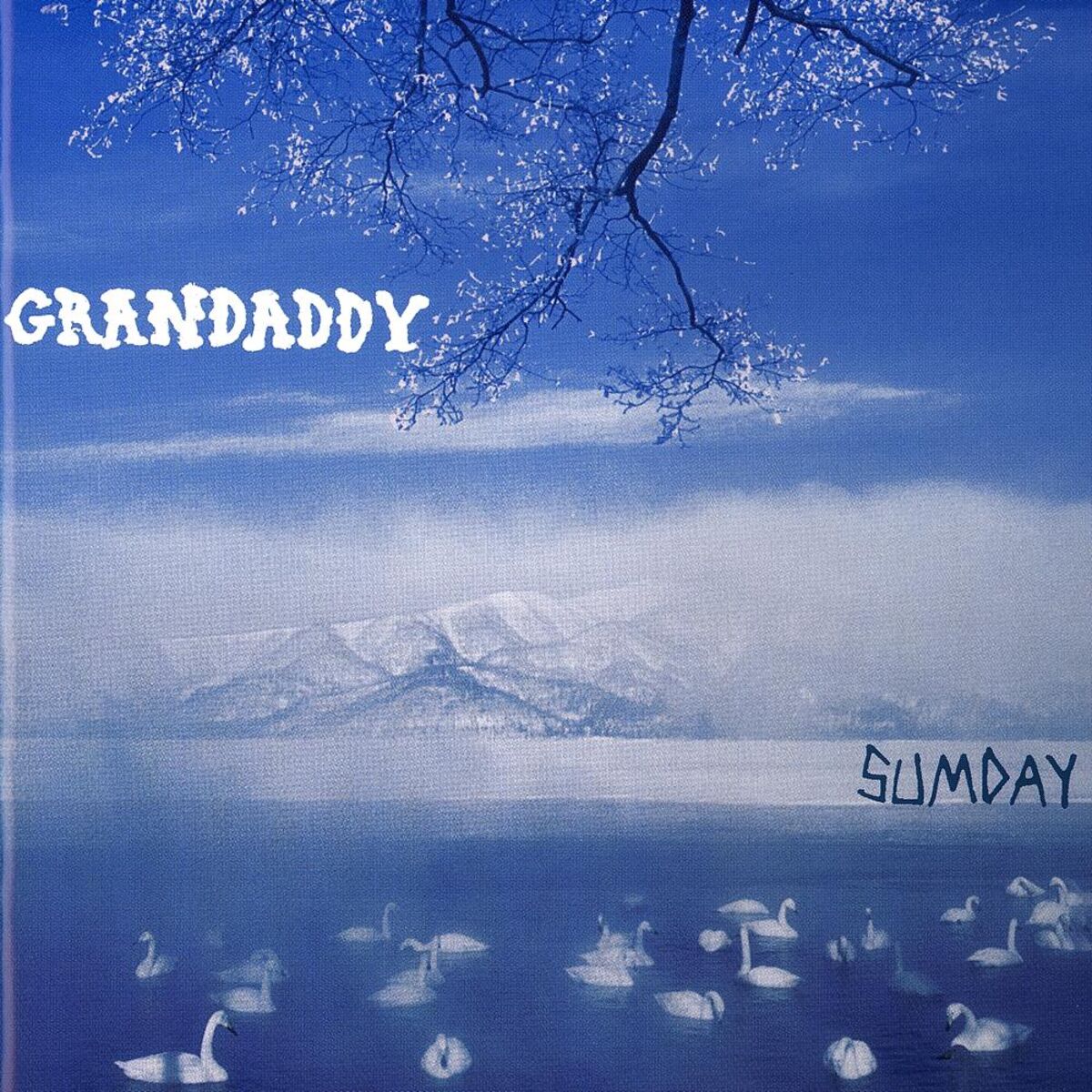 Album cover of The Final Push To The Sum
