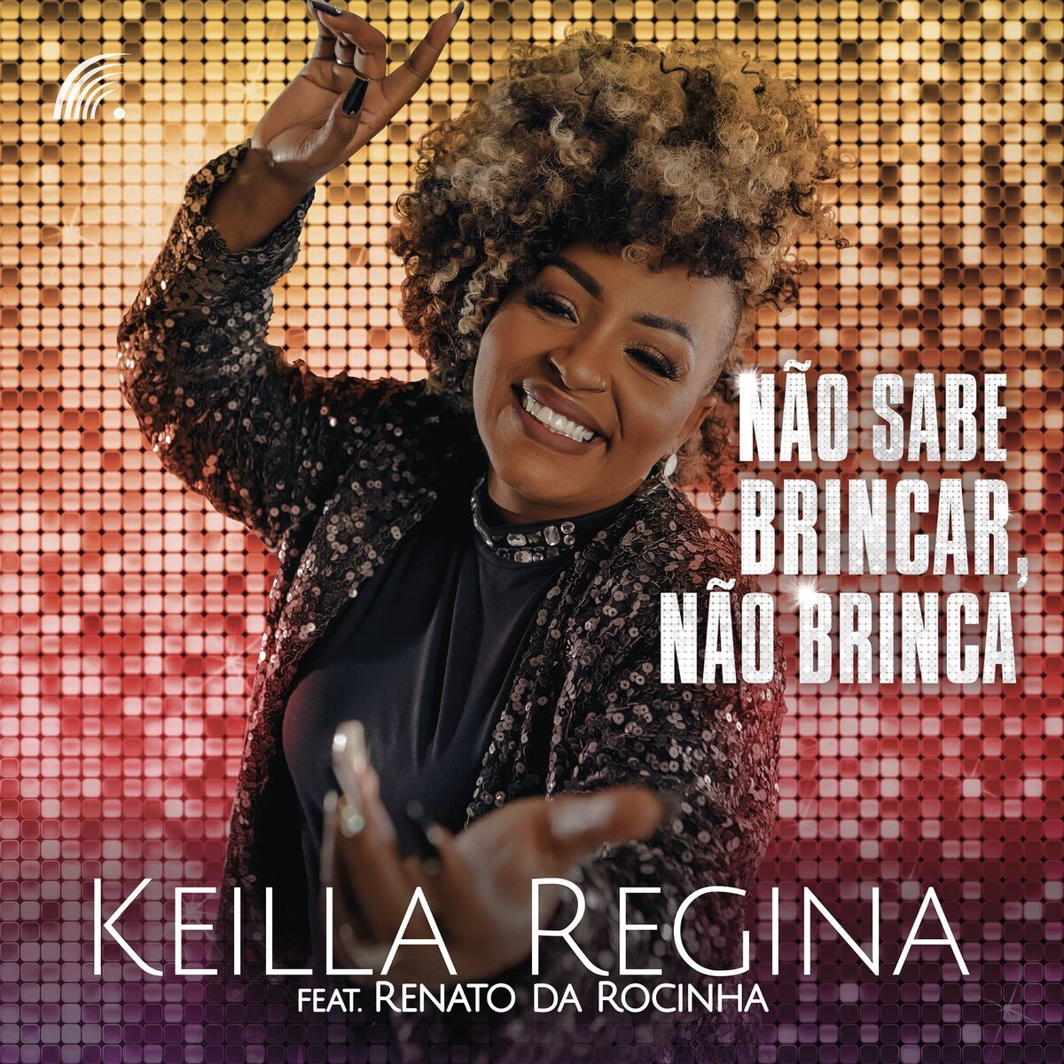 Album cover of Não Sabe Brincar