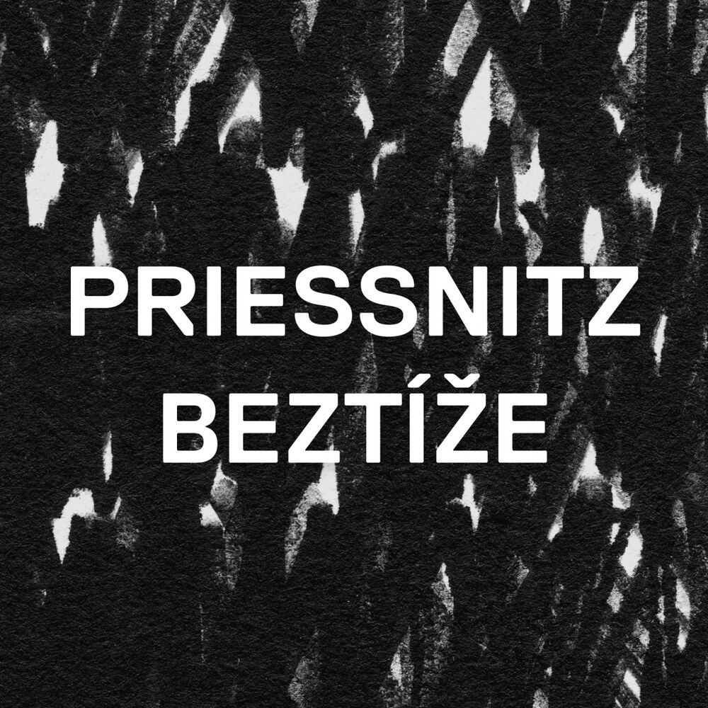 Picture of Beztíže