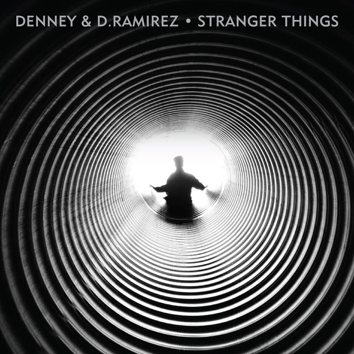 Album cover of Stranger Things