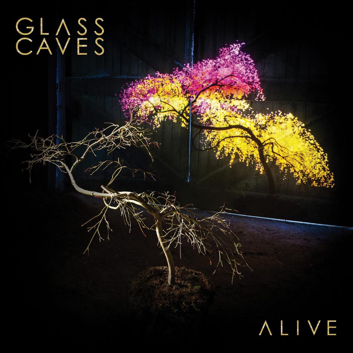 Album cover of Tonight