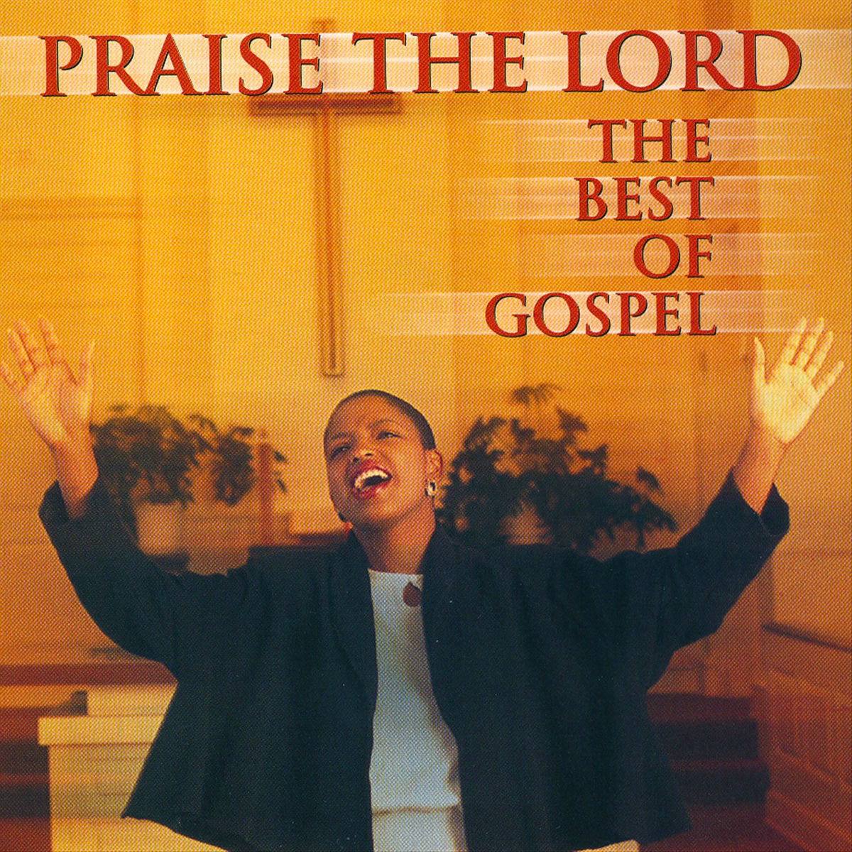 Album cover of Praise The Lord The Best Of Gospel