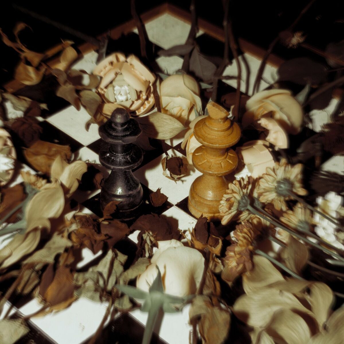 Album cover of Pengagum