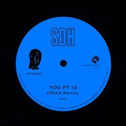 Cover of You, Pt. 12 (Reka Remix)