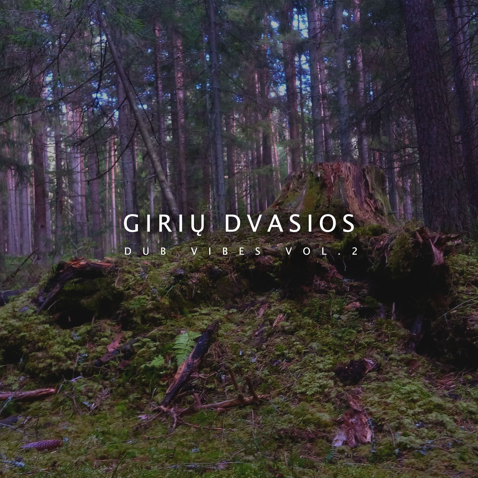 Album cover of Dub Vibes, Vol. 2