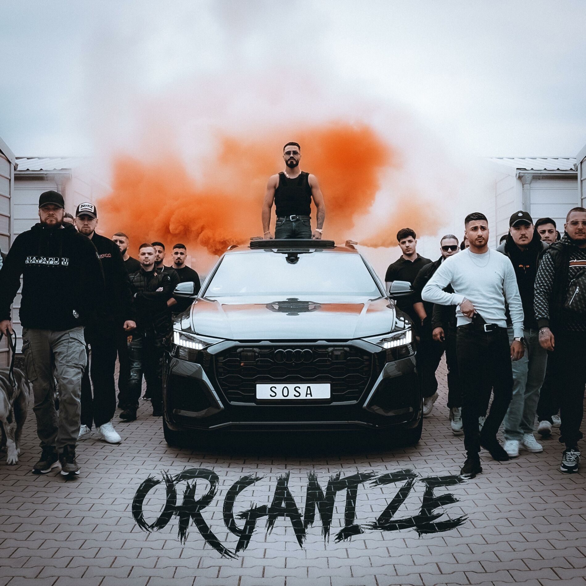 Album cover of ORGANIZE