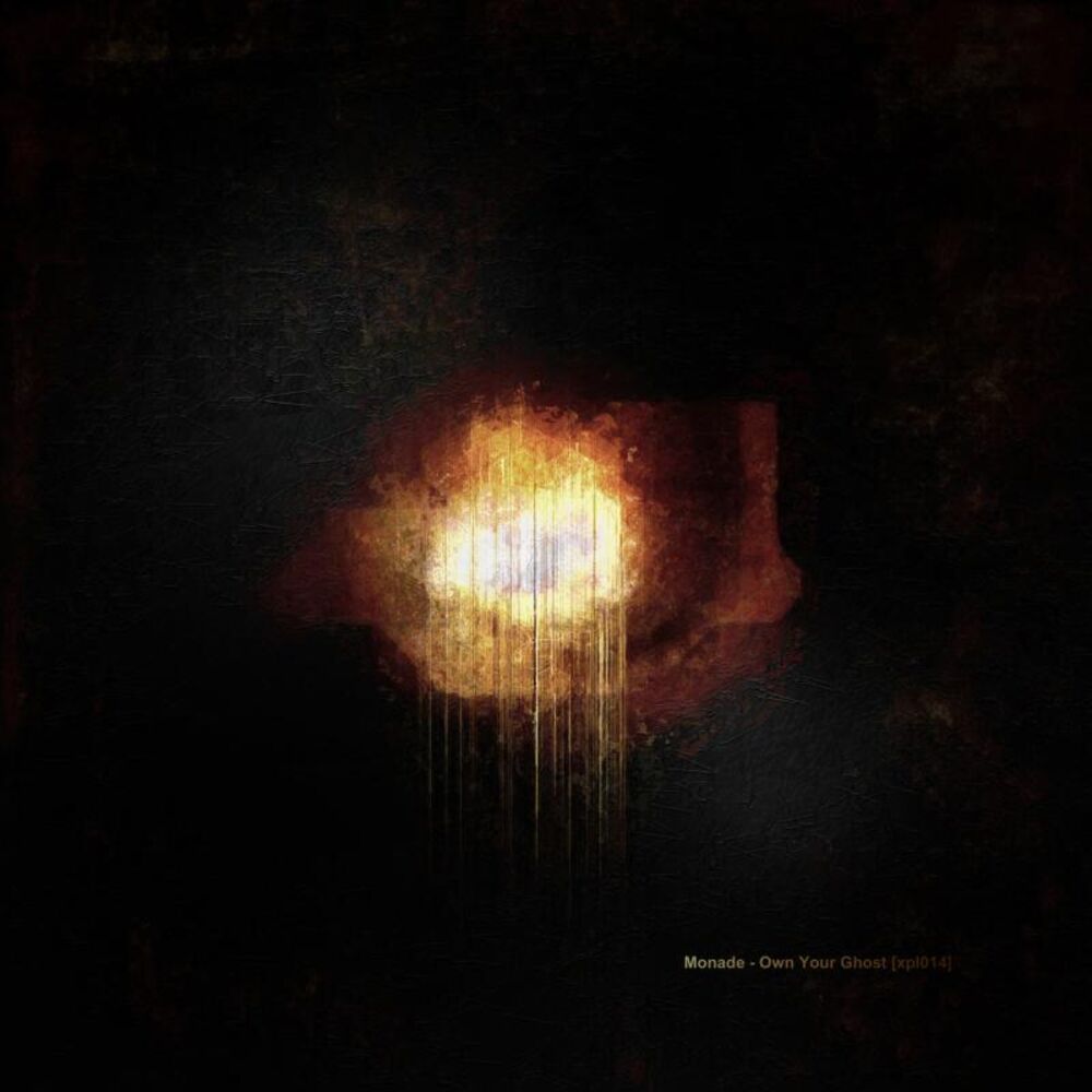 Picture of Own Your Ghost