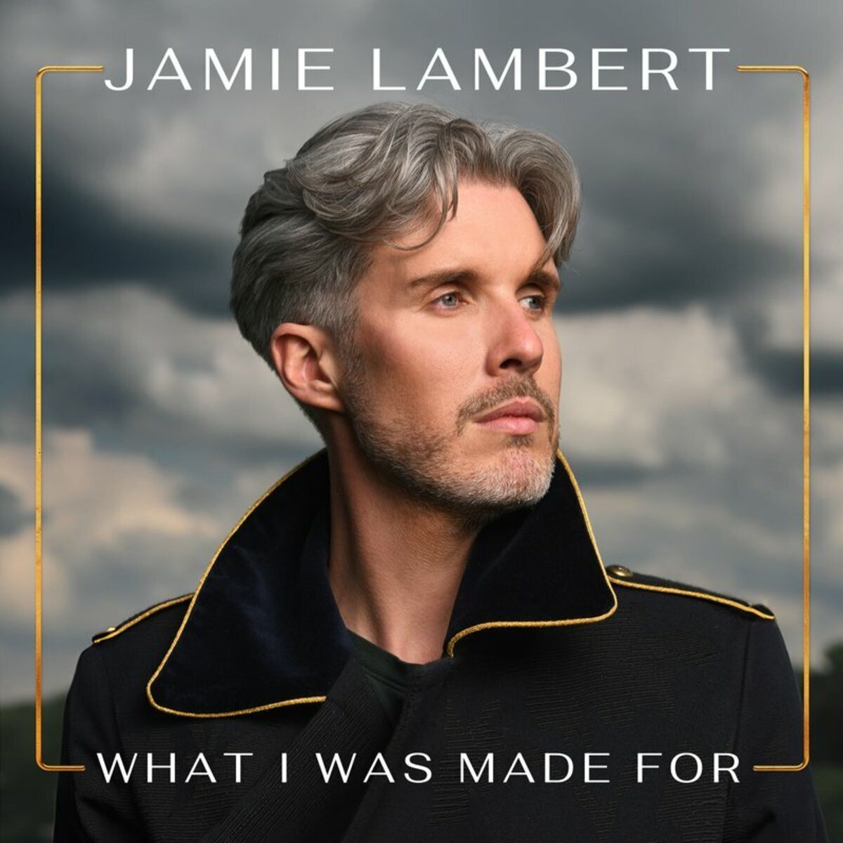 Album cover of What I Was Made For