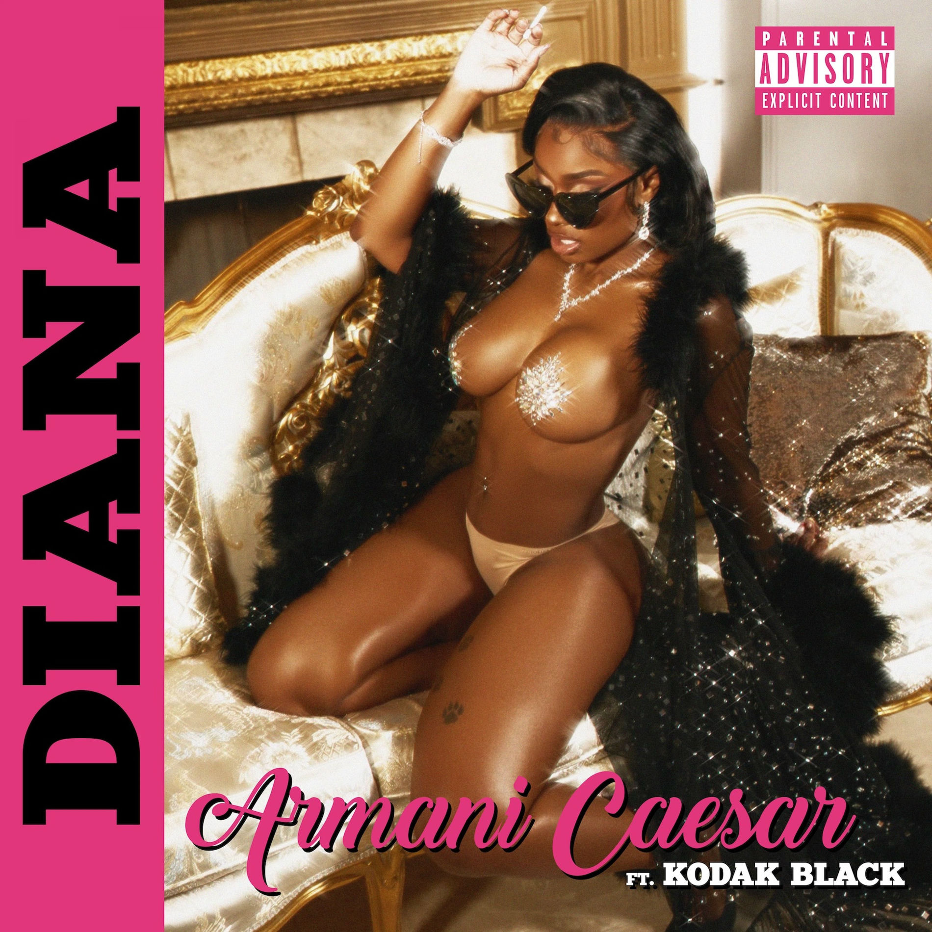 Album cover of Diana