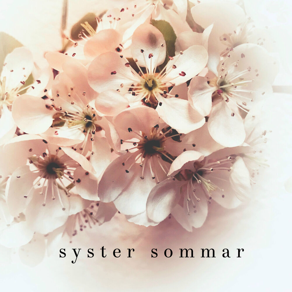 Picture of Syster sommar