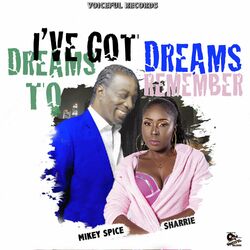 Cover of I've Got Dreams To Remember