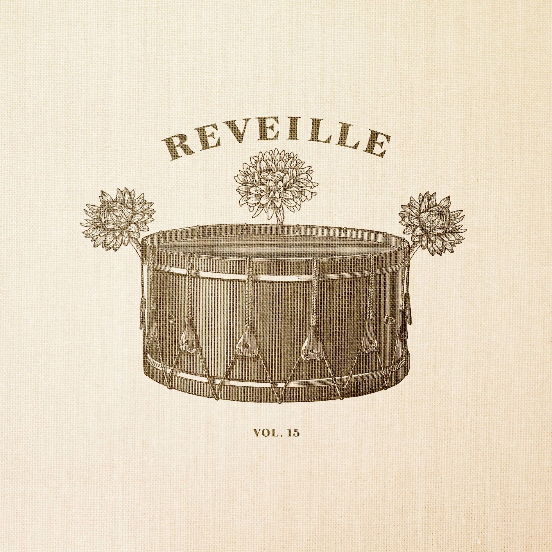 Album cover of Vol. 15
