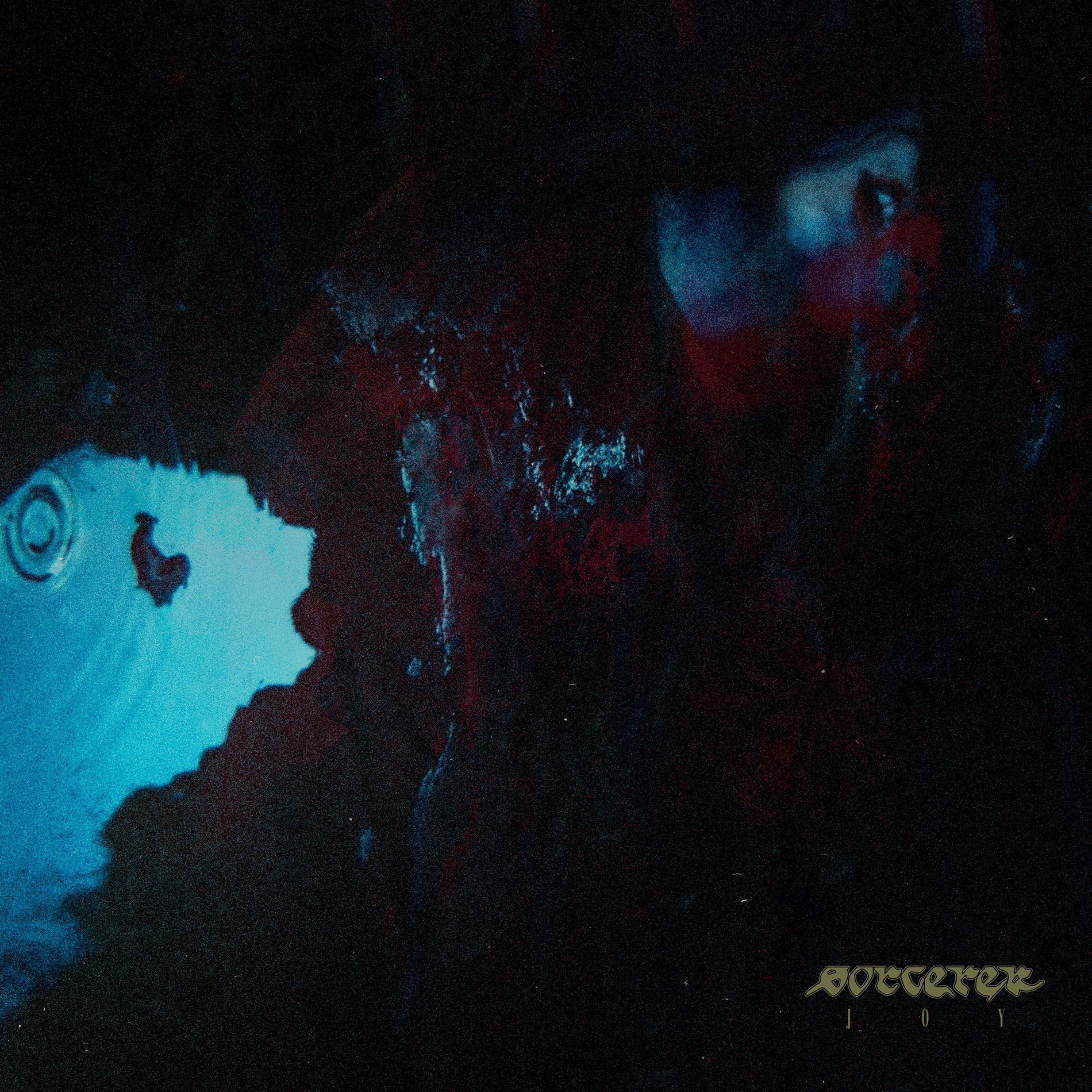 Album cover of JOY