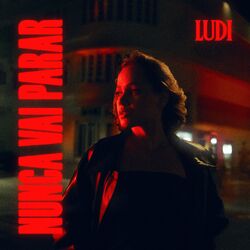 Cover of Nunca Vai Parar