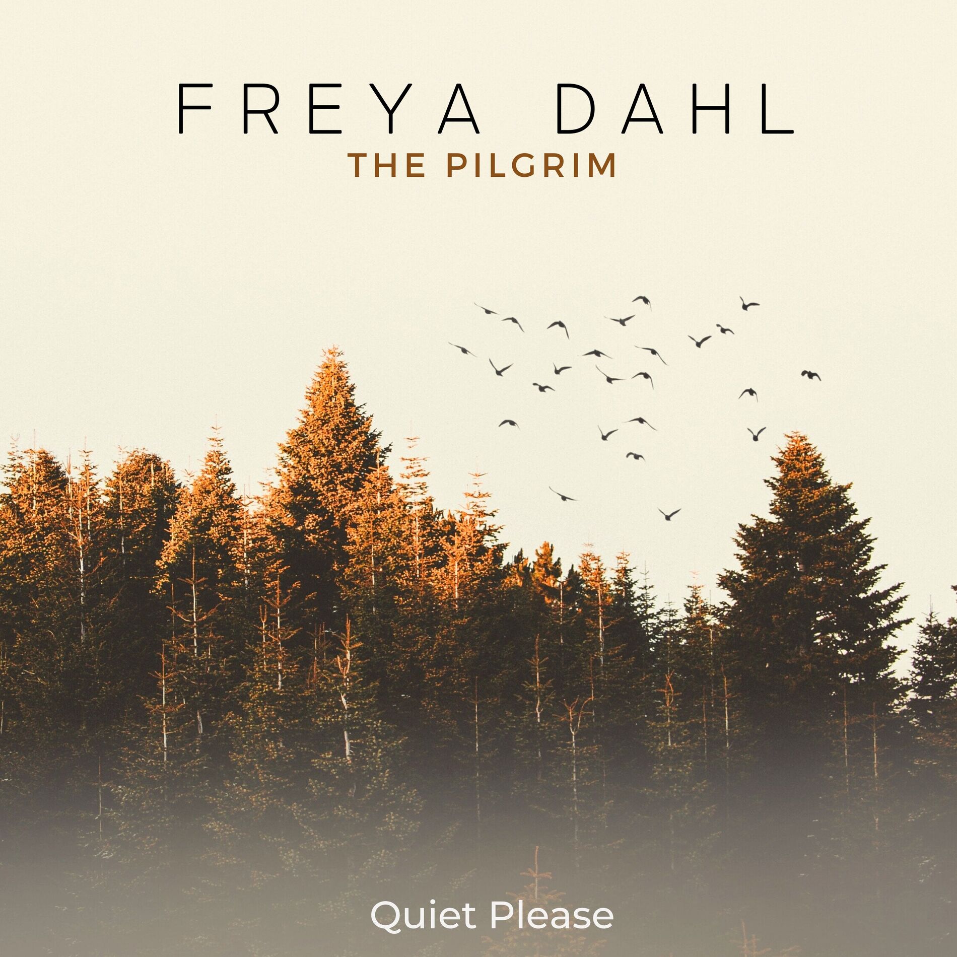 Album cover of The Pilgrim
