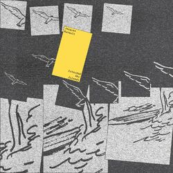 Cover of Extended Sky Islands