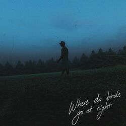 Cover of Where Do Birds Go At Night?