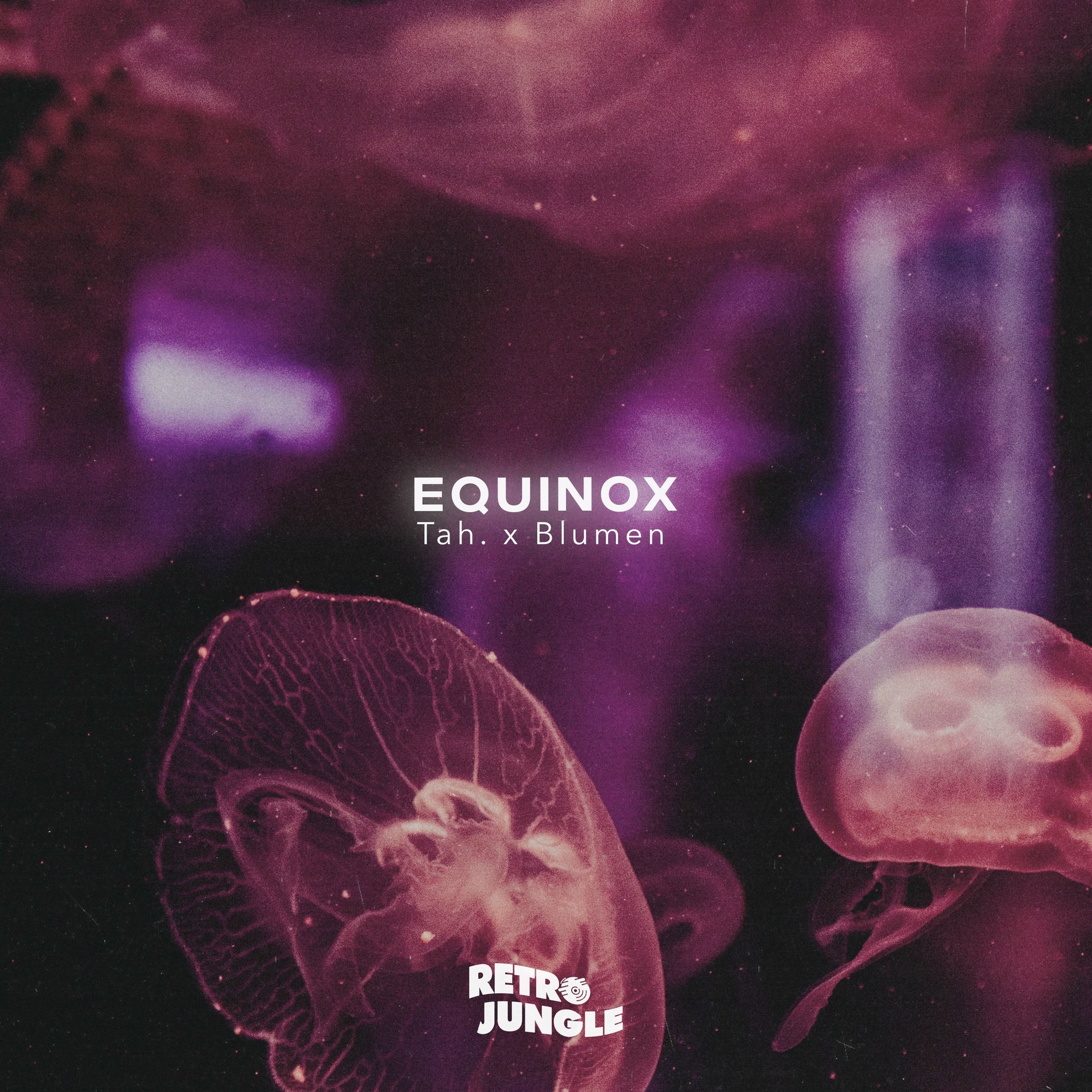 Album cover of Equinox
