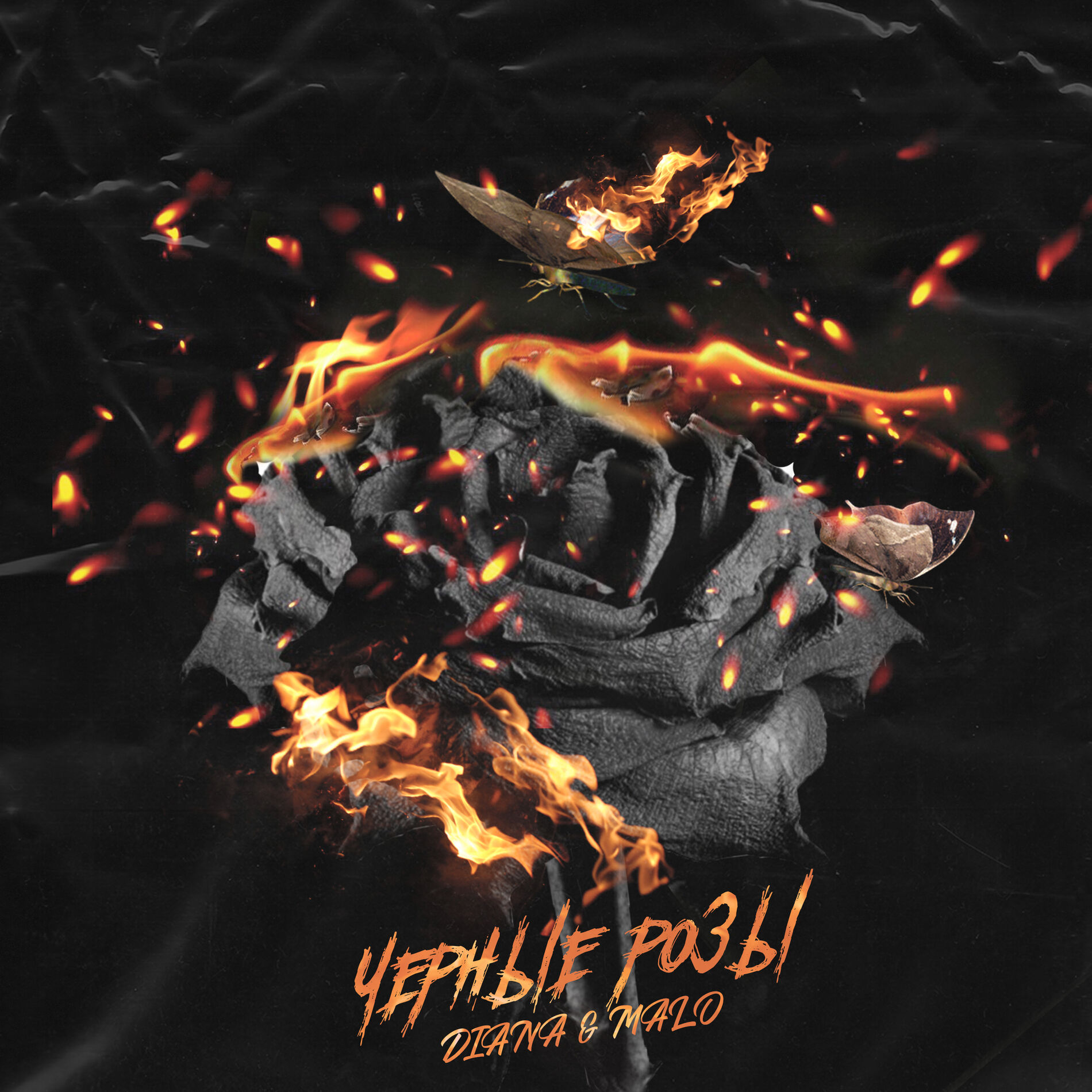 Album cover of Черные розы