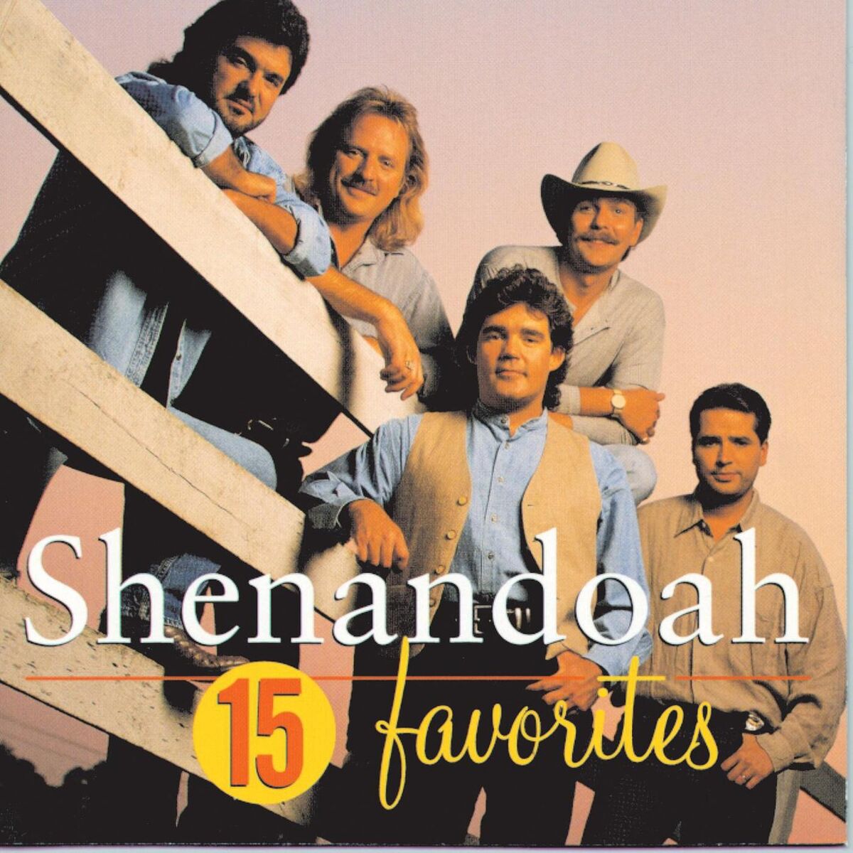 Album cover of 15 Favorites