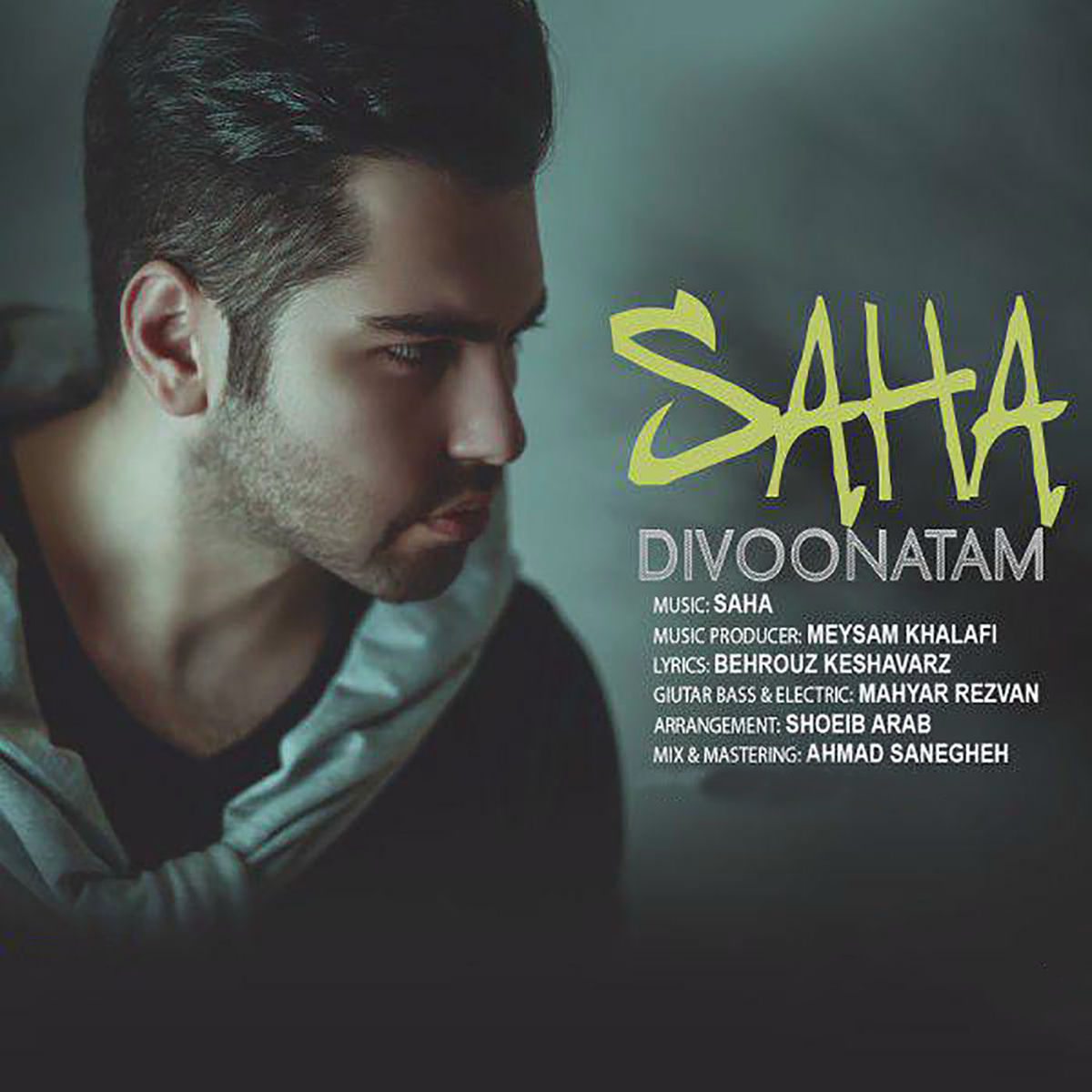 Album cover of Divoonatam