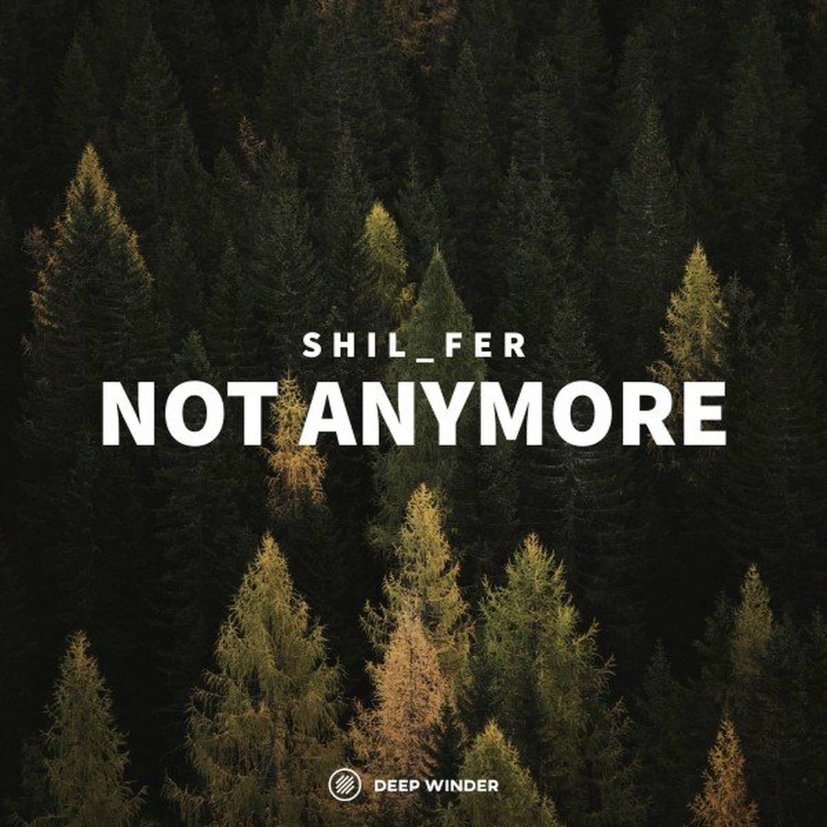 Album cover of Not Anymore